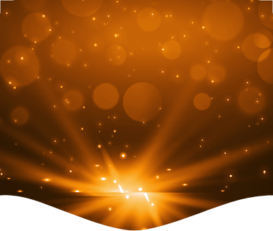 vip Bronze